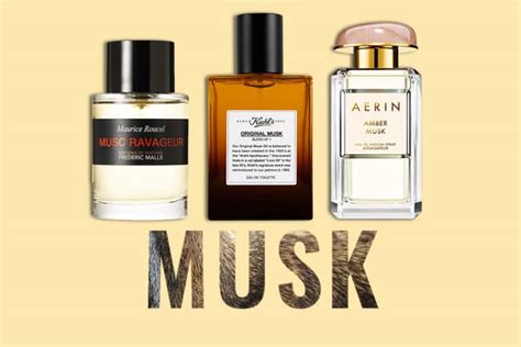 best musk perfumes for women|unisex musk perfume.